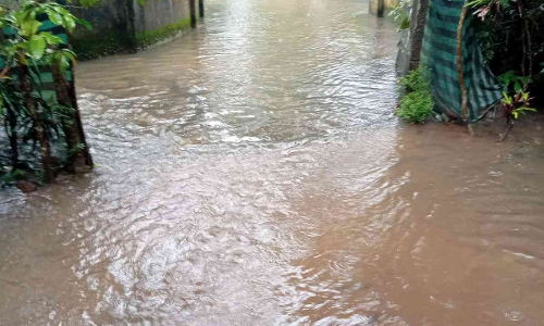 വെള്ളത്തിൽ മുങ്ങി ഓണാട്ടുകര