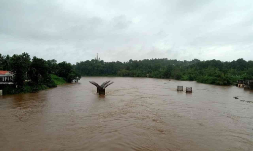 കനത്ത മഴ; റാന്നി താലൂക്കിലെ താഴ്ന്ന പ്രദേശങ്ങൾ  വെള്ളത്തിൽ മുങ്ങി