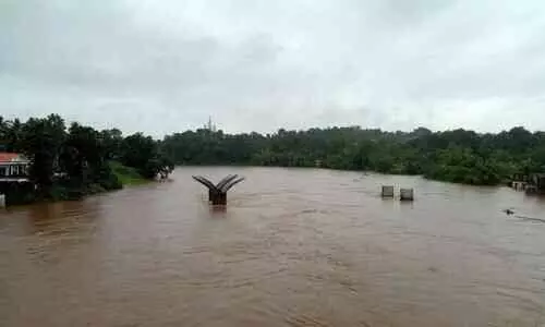 കനത്ത മഴ; റാന്നി താലൂക്കിലെ താഴ്ന്ന പ്രദേശങ്ങൾ  വെള്ളത്തിൽ മുങ്ങി