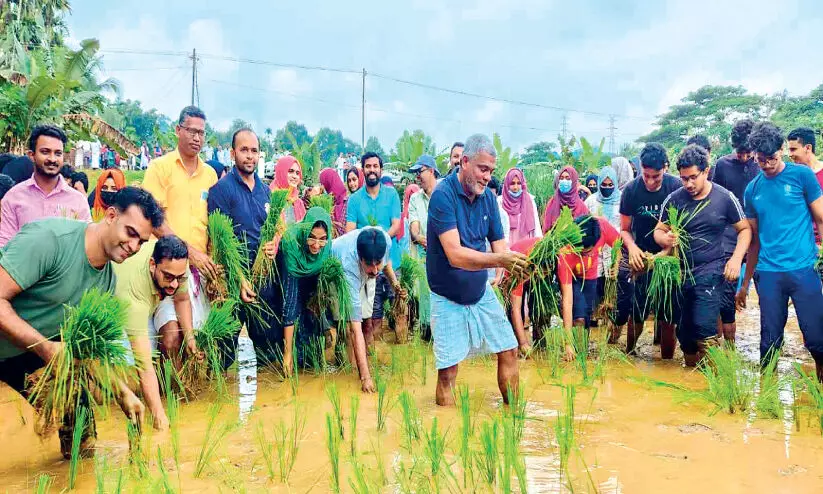 childrens day celebration childrens day celebration