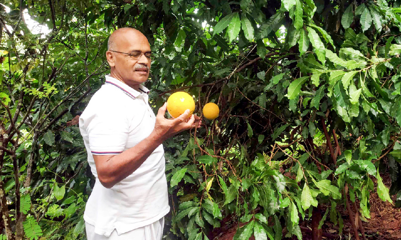 വൈവിധ്യങ്ങളിൽ നിറഞ്ഞ് ഷംസുദ്ദീൻ ഹാജിയുടെ കാർഷികയാത്ര വൈവിധ്യങ്ങളിൽ നിറഞ്ഞ് ഷംസുദ്ദീൻ ഹാജിയുടെ കാർഷികയാത്ര