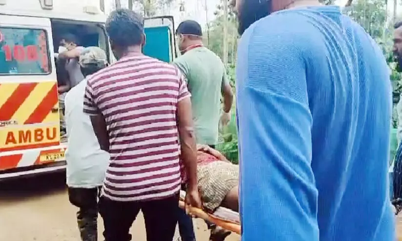 കുന്നമ്പറ്റയിൽ വീണ്ടും കാട്ടാന ആക്രമണം യുവാവിന് ഗുരുതര പരിക്ക് കുന്നമ്പറ്റയിൽ വീണ്ടും കാട്ടാന ആക്രമണം യുവാവിന് ഗുരുതര പരിക്ക്