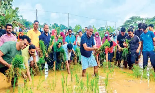 childrens day celebration