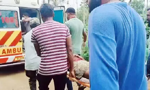 കുന്നമ്പറ്റയിൽ വീണ്ടും കാട്ടാന ആക്രമണം യുവാവിന് ഗുരുതര പരിക്ക് കുന്നമ്പറ്റയിൽ വീണ്ടും കാട്ടാന ആക്രമണം യുവാവിന് ഗുരുതര പരിക്ക്