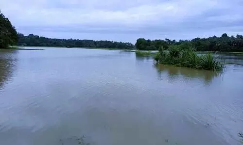 thumbichal thumbichal