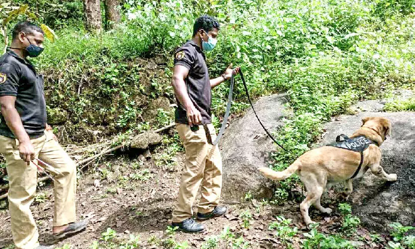 യുവതിയെ വീ​ട്ടി​ൽ​ നി​ന്ന് തട്ടിക്കൊണ്ടുപോകാൻ ശ്രമം