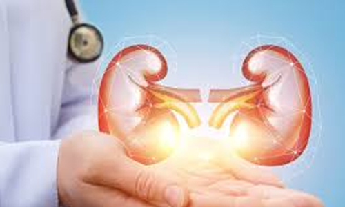 kidney transplantation
