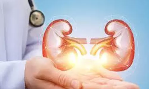 kidney transplantation