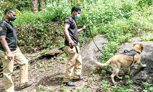 യുവതിയെ വീ​ട്ടി​ൽ​ നി​ന്ന് തട്ടിക്കൊണ്ടുപോകാൻ ശ്രമം