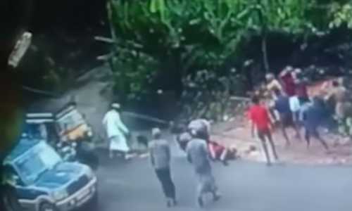 നായ്ക്കൾ കടിച്ചുകീറിയ യുവതിയെ​ രക്ഷിച്ചവർക്കെതിരെ ജാമ്യമില്ലാ കുറ്റം​, ഉടമക്ക് ജാമ്യം