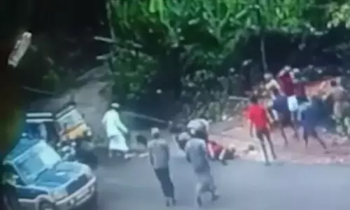 യുവതിയെ നായ്​ കടിച്ചുകീറിയ സംഭവം: പൊലീസ് ആർ.ഡി.ഒ.ക്ക് റിപ്പോർട്ട് നൽകി