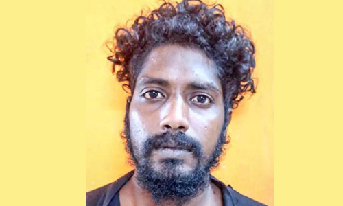 ബലാത്സംഗ കേസിൽ യുവാവ് പിടിയിൽ