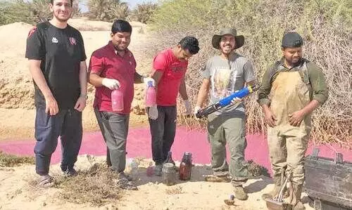 കൗതുകമായി പിങ്ക്​ തടാകം​