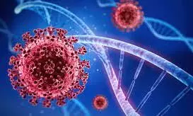 രാജ്യത്ത്​ കോവിഡ് ബാധിതരുടെ എണ്ണത്തിൽ വർധന