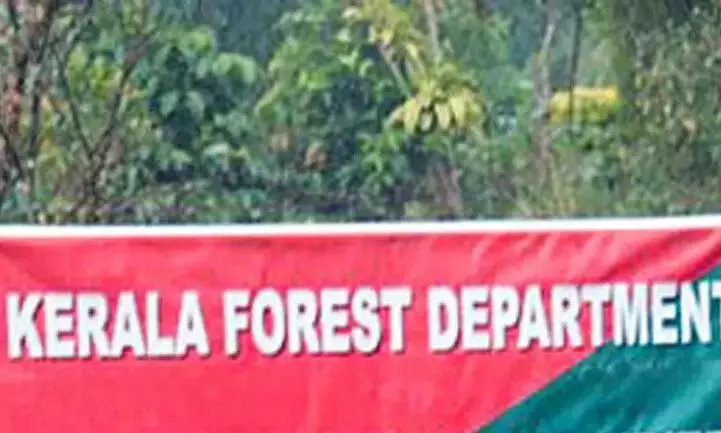 പരാതിപ്പെട്ടതി​െൻറ വൈരാഗ്യം; പൊതുപ്രവർത്തകന് വനം വകുപ്പ് ഉദ്യോഗസ്ഥ​െൻറ ഭീഷണി