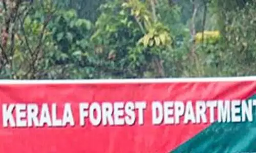 പരാതിപ്പെട്ടതി​െൻറ വൈരാഗ്യം; പൊതുപ്രവർത്തകന് വനം വകുപ്പ് ഉദ്യോഗസ്ഥ​െൻറ ഭീഷണി