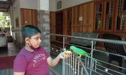 വിരുന്നുകാരൻ തത്തയും അഭയം നൽകിയ കൂട്ടുകാരനും