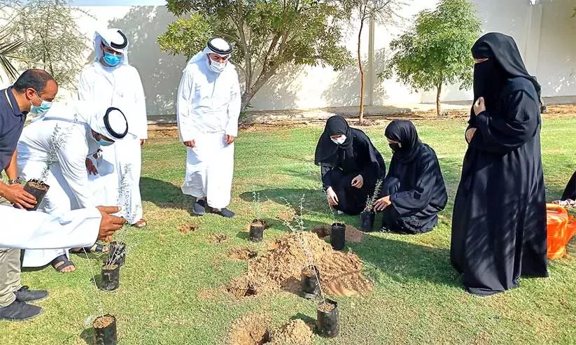 അന്താരാഷ്ട്ര സഹിഷ്ണുത ദിനം: ഗാഫ് തൈകൾ നട്ടു അന്താരാഷ്ട്ര സഹിഷ്ണുത ദിനം: ഗാഫ് തൈകൾ നട്ടു