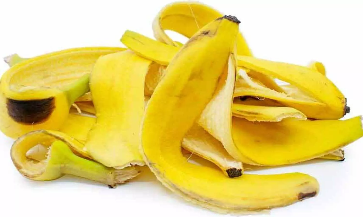 ഇനി വാഴപ്പഴത്തോൽ വെറുതെ കളയണ്ട..