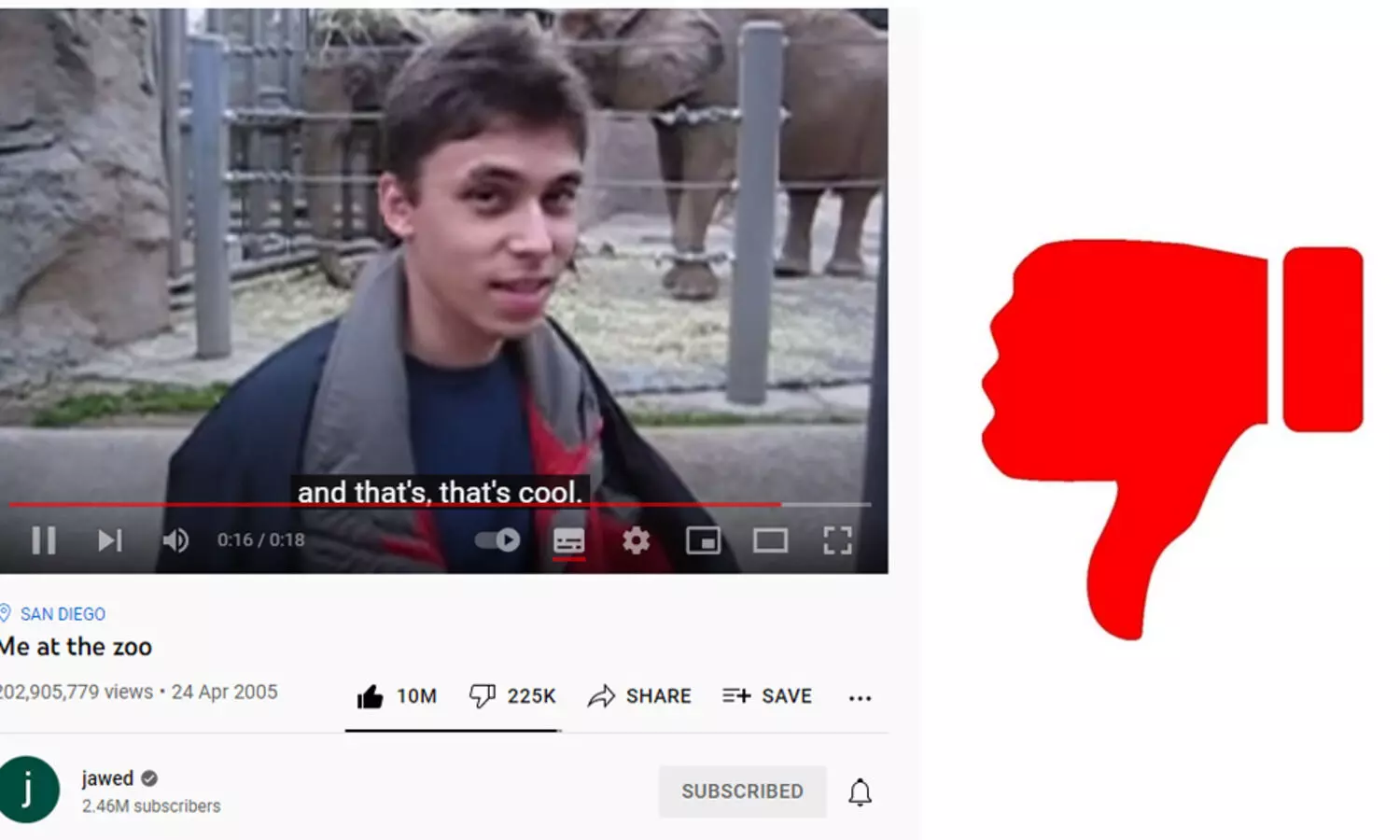 യൂട്യൂബിലെ ആദ്യത്തെ വിഡിയോയിലൂടെ ഡിസ്​ലൈക്ക്​ ഒഴിവാക്കാനുള്ള തീരുമാനത്തെ എതിർത്ത്​ സഹസ്ഥാപകൻ