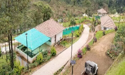 Munnar Botanical Garden