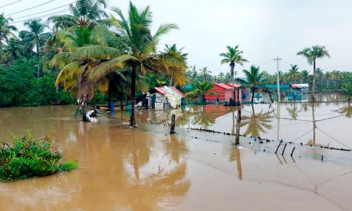 പാക്കേജ്​ പ്രഖ്യാപനത്തിന് കാൽനൂറ്റാണ്ട്; മൺറോതുരുത്ത് വെള്ളത്തിൽതന്നെ