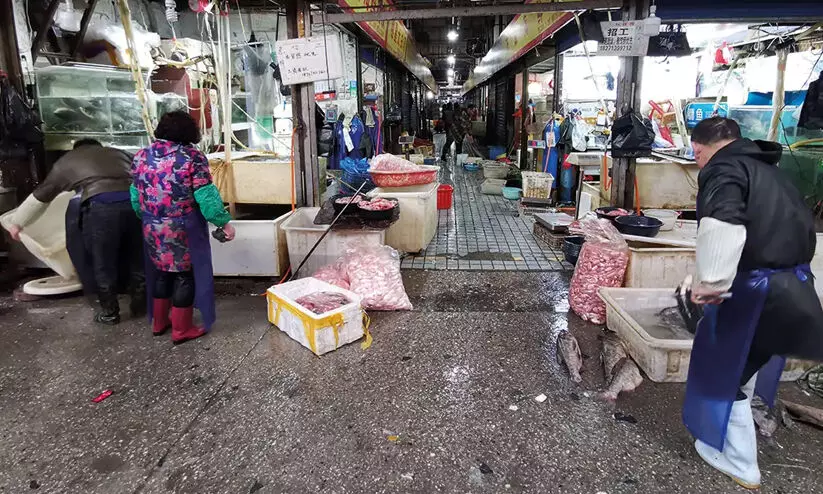 കോ​വി​ഡ്​ ആ​ദ്യം ക​ണ്ടെ​ത്തി​യ​ത്​ വൂ​ഹാ​നി​ലെ മ​ത്സ്യ​ക്ക​ച്ച​വ​ട​ക്കാ​രി​യി​ൽ