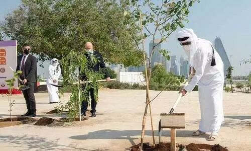 അമീർ നട്ടു; ആറു​ലക്ഷം തികച്ച്​ ഹരിതപദ്ധതി
