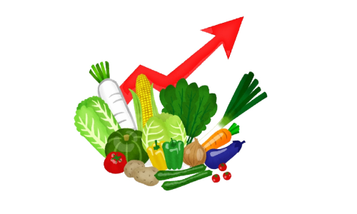 കൈപൊള്ളിച്ച് പച്ചക്കറി; തിരിച്ചടിയായത് ഇതര സംസ്ഥാനങ്ങളിലെ മഴ കൈപൊള്ളിച്ച് പച്ചക്കറി; തിരിച്ചടിയായത് ഇതര സംസ്ഥാനങ്ങളിലെ മഴ