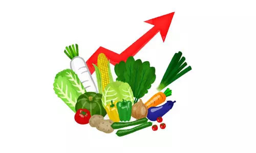 കൈപൊള്ളിച്ച് പച്ചക്കറി; തി​രി​ച്ച​ടി​യാ​യ​ത് ഇ​ത​ര സം​സ്ഥാ​ന​ങ്ങ​ളി​ലെ മ​ഴ