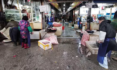 കോ​വി​ഡ്​ ആ​ദ്യം ക​ണ്ടെ​ത്തി​യ​ത്​ വൂ​ഹാ​നി​ലെ മ​ത്സ്യ​ക്ക​ച്ച​വ​ട​ക്കാ​രി​യി​ൽ