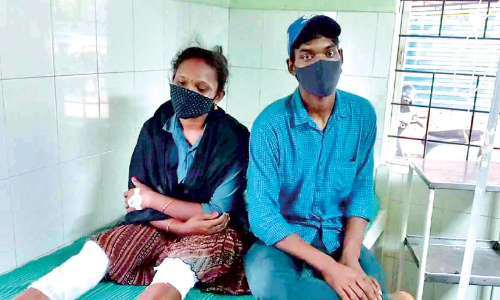 കടുവയുടെ ആക്രമണം; തലനാരിഴക്ക് രക്ഷപ്പെട്ട് തൊഴിലാളികൾ