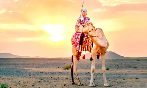 ഒ​ട്ട​ക​പ്പു​റ​ത്ത്​ ​െഎ​ഫോ​ൺ ഫോ​േ​ട്ടാ​ഗ്രാ​ഫ​ർ