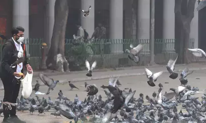 വായുമലിനീകരണം ഗുരുതരം; ട്രക്കുകളുടെ നിരോധനവും വർക്ക്​ ഫ്രം ഹോമും തുടരാൻ നിർദേശിച്ച് ഡൽഹി​ സർക്കാർ