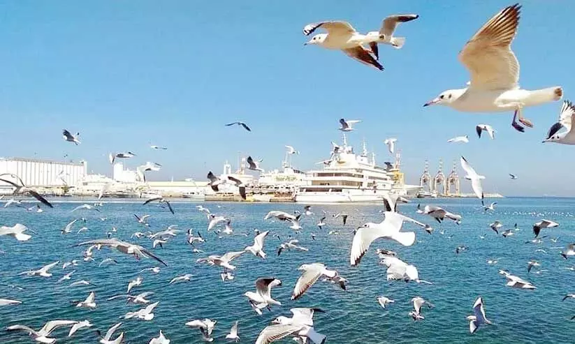 പു​ല​രി​യി​ലെ ത​ണു​പ്പി​ല്‍ മ​നോ​ഹ​രി​യാ​യി മ​ത്ര കോ​ര്‍ണി​ഷ്‌