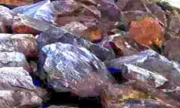 പട്ടാപ്പകൽ കോഴി മാലിന്യം തള്ളാനുള്ള നീക്കം തടഞ്ഞു