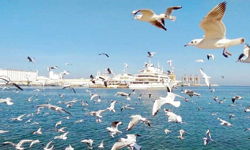 പു​ല​രി​യി​ലെ ത​ണു​പ്പി​ല്‍ മ​നോ​ഹ​രി​യാ​യി മ​ത്ര കോ​ര്‍ണി​ഷ്‌