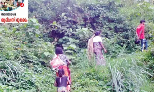 മ​ര​ണ​ത്തി​ന് മു​മ്പ് ഭൂ​മി കി​ട്ടു​മോ?