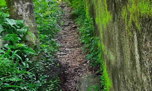 ഈ മനുഷ്യർക്ക്​ വീ​ടു​ക​ളി​ലെ​ത്താ​ൻ വ​ഴി കാ​ണി​ച്ചു കൊ​ടു​ക്കാ​മോ