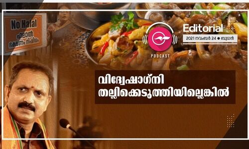 വിദ്വേഷാഗ്​നി തല്ലിക്കെടുത്തിയില്ലെങ്കിൽ