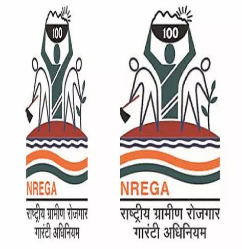 തൊഴിലുറപ്പ് സ്ഥലങ്ങളിൽ കലക്ടറുടെ മിന്നൽ പരിശോധന തൊഴിലുറപ്പ് സ്ഥലങ്ങളിൽ കലക്ടറുടെ മിന്നൽ പരിശോധന