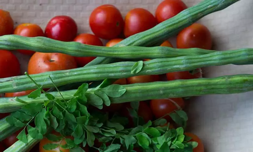 മു​രി​ങ്ങ​ക്കാ​യ​യും ത​ക്കാ​ളി​യും ത​മ്മി​ൽ മത്സരം മുറുകി