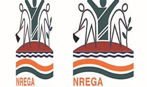 തൊഴിലുറപ്പ്​ സ്ഥലങ്ങളിൽ കലക്​ടറുടെ മിന്നൽ പരിശോധന