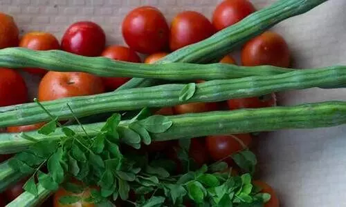 മു​രി​ങ്ങ​ക്കാ​യ​യും ത​ക്കാ​ളി​യും ത​മ്മി​ൽ മത്സരം മുറുകി