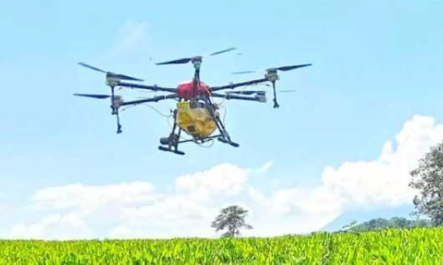 കൃഷിനാശം വിലയിരുത്താന്‍  ഡ്രോണ്‍ പരിശോധന