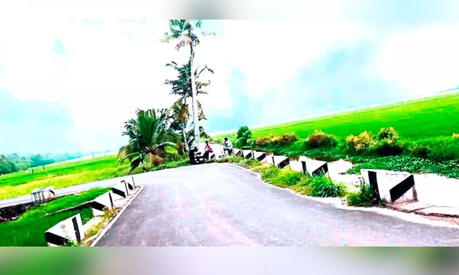 ഗ്രാമസൗന്ദര്യത്തി​െൻറ വശ്യതയിൽ പെരുന്തുരുത്തുകരി