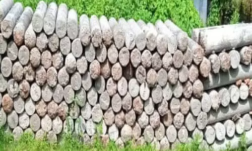 Silver Line survey stone