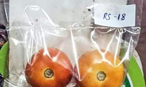 വി​ല കൂ​ടു​മ്പോ​ള്‍ ത​ക്കാ​ളി​ക്കും  താരപരിവേഷം...