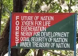 വനംവകുപ്പിൽ ഉത്തരവുകൾ ഇനി ഒരു ഉദ്യോഗസ്ഥ​െൻറ മേൽനോട്ടത്തിൽ