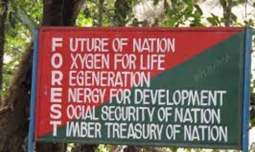 വനംവകുപ്പിൽ ഉത്തരവുകൾ ഇനി ഒരു ഉദ്യോഗസ്ഥ​െൻറ മേൽനോട്ടത്തിൽ